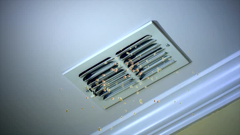 Best Affordable Duct Cleaning Services  in Ilchester, MD