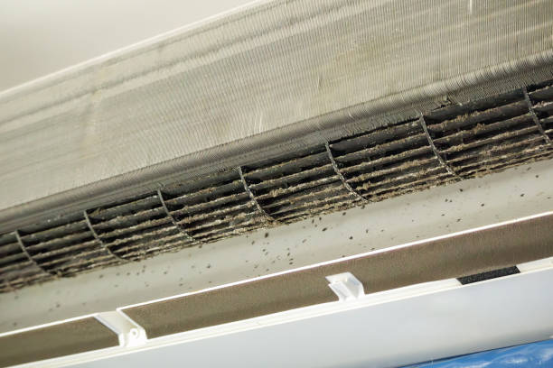 Best Affordable Air Duct Cleaning  in Ilchester, MD